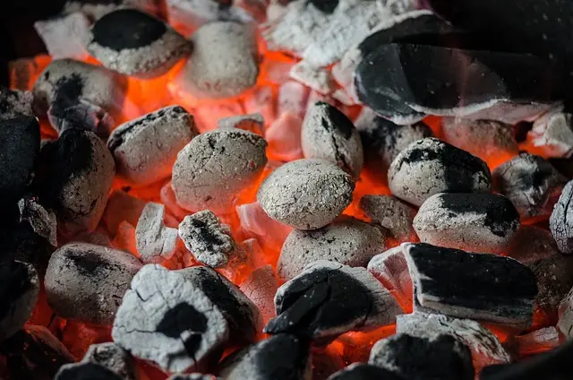 Migliori bombole per barbecue: guida all'acquisto