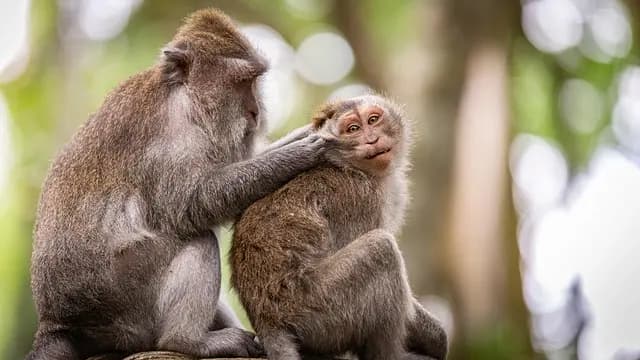 Guida all'acquisto dei migliori prodotti per la pulizia ecologica