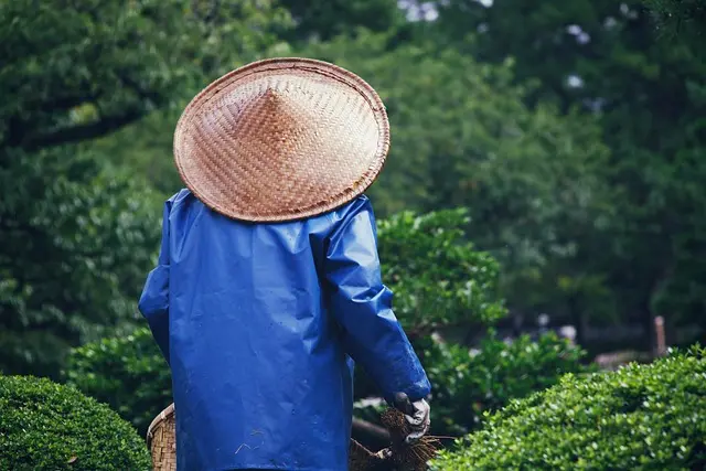 I migliori utensili da giardinaggio: guida all'acquisto