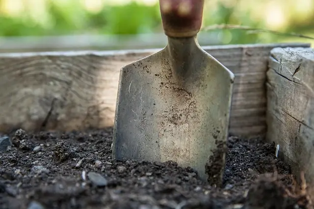 Guida all'acquisto dei migliori attrezzi da giardinaggio